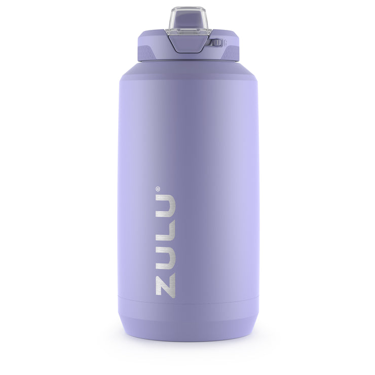 Stainless Water Bottle with Straw and Handle